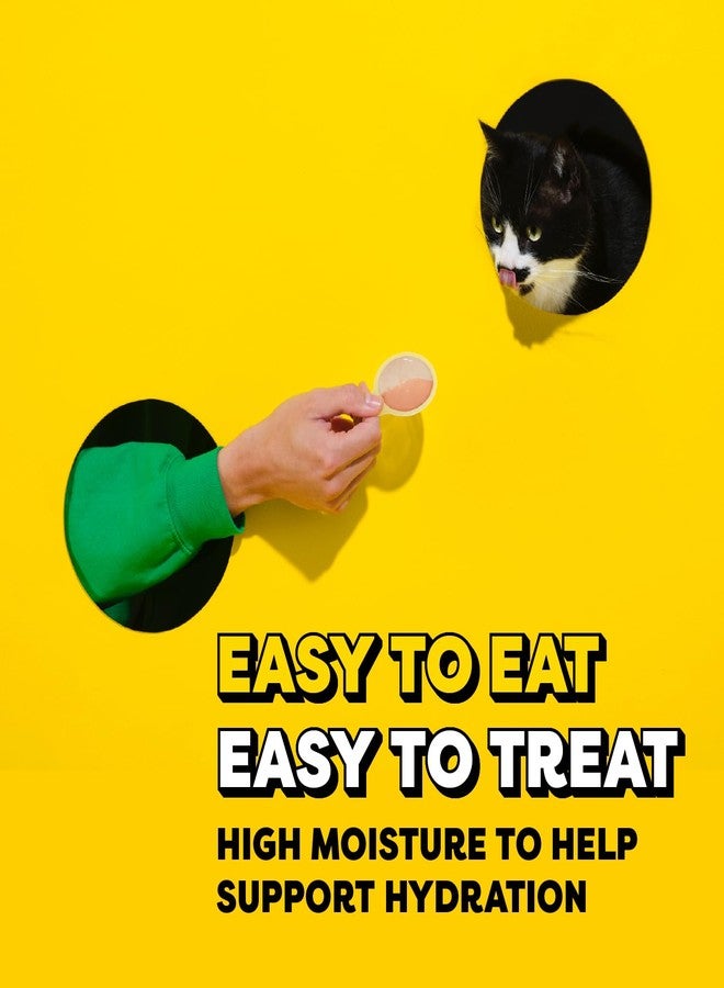 تيمبتيشنز مجموعة متنوعة من ملاعق تمبتيشنز القابلة لللعق لمكافآت القطط، 24 ملعقة - Image 3